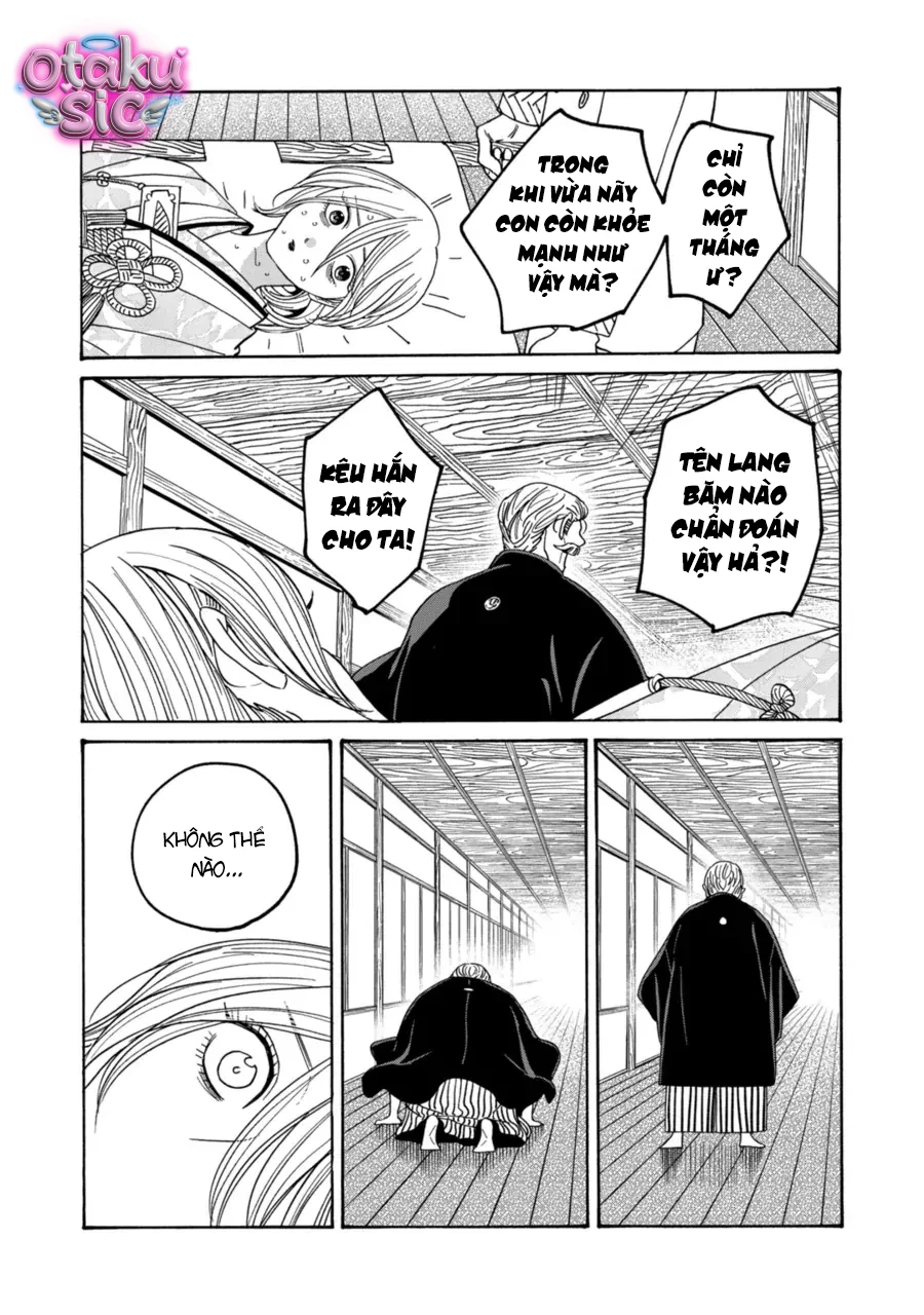 Firefly Wedding - Chap 71 - Trang 11