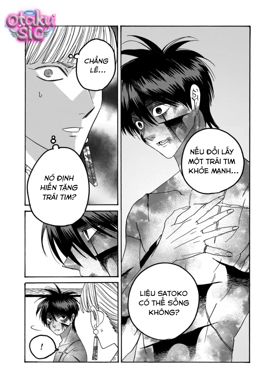 Firefly Wedding - Chap 71 - Trang 28