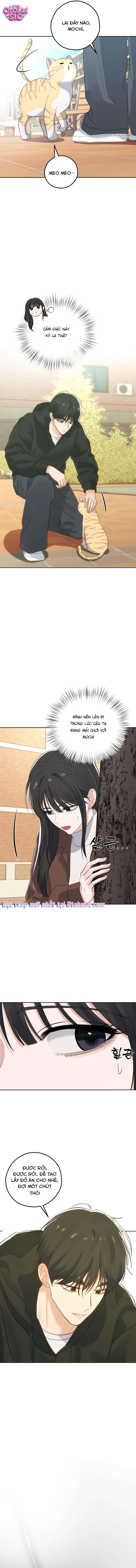 Gã hàng xóm sát nhân - Chap 10 - Trang 6