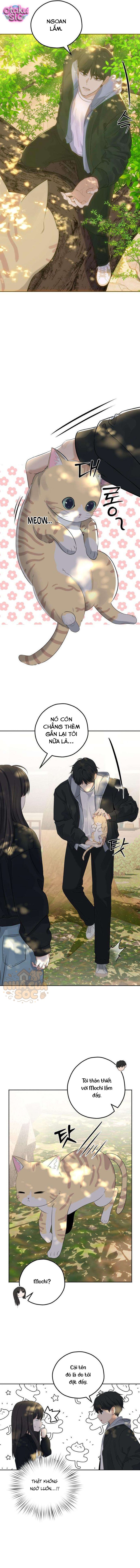 Gã hàng xóm sát nhân - Chap 5 - Trang 12