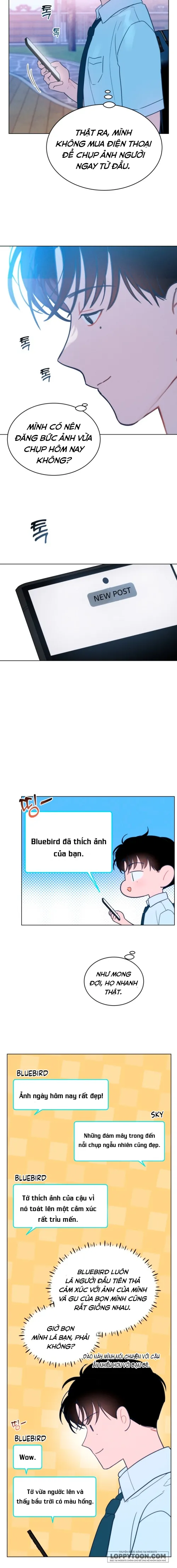 Gửi trời hạ dịu dàng kia - Chap 1 - Trang 6