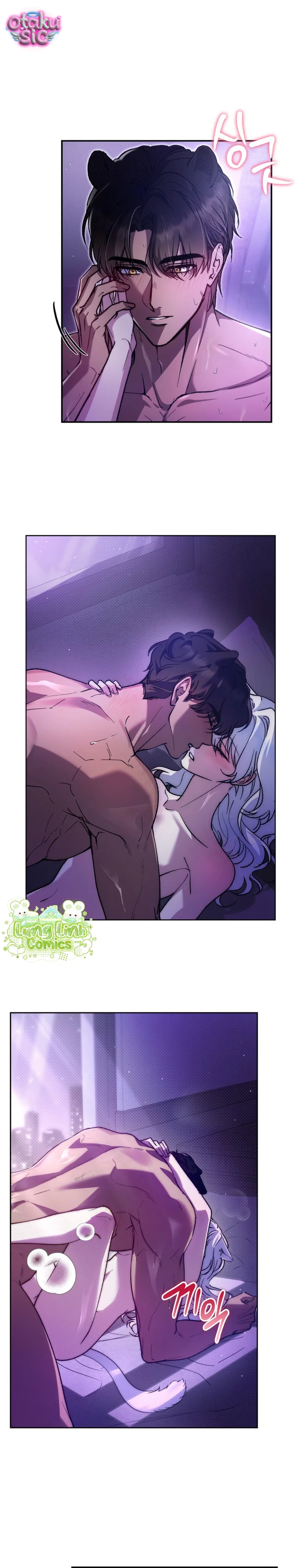 Hắc Báo Nhà Bên - Chap 1 - Trang 3