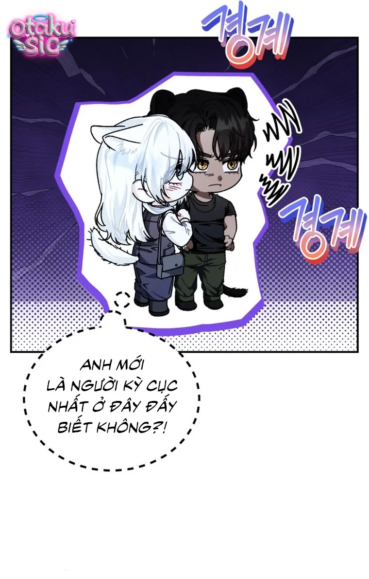 Hắc Báo Nhà Bên - Chap 3