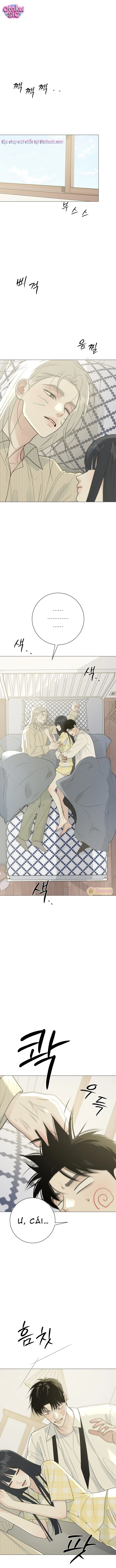 Hashtag tình đầu - Chap 17 - Trang 0