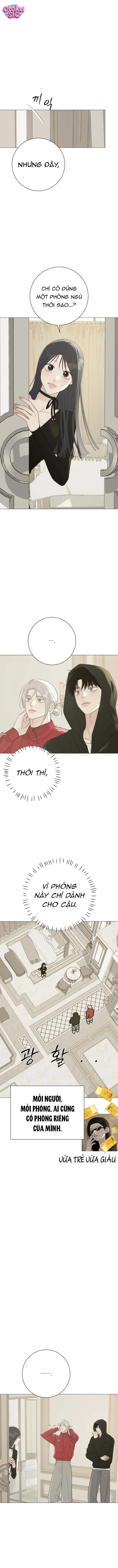 Hashtag tình đầu - Chap 20 - Trang 14