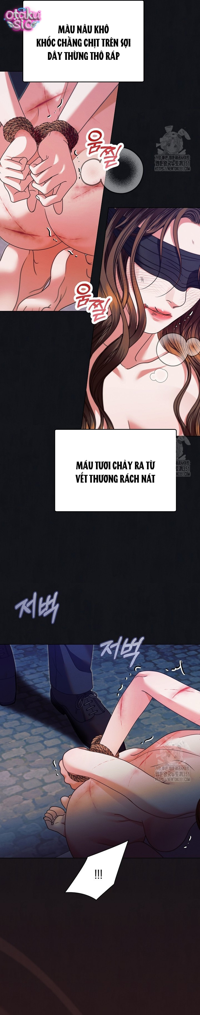 Hãy Cầu Xin Ta Đi - Chap 15