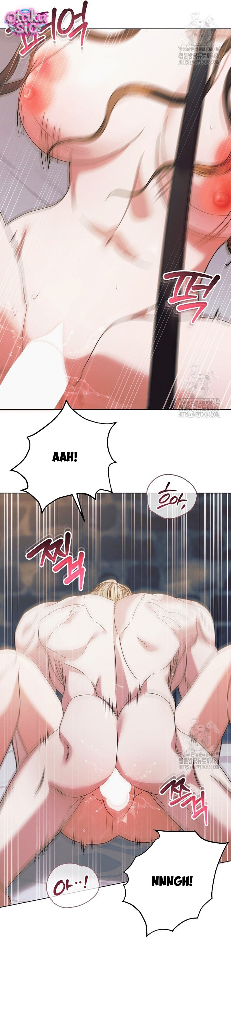 Hãy Cầu Xin Ta Đi - Chap 27