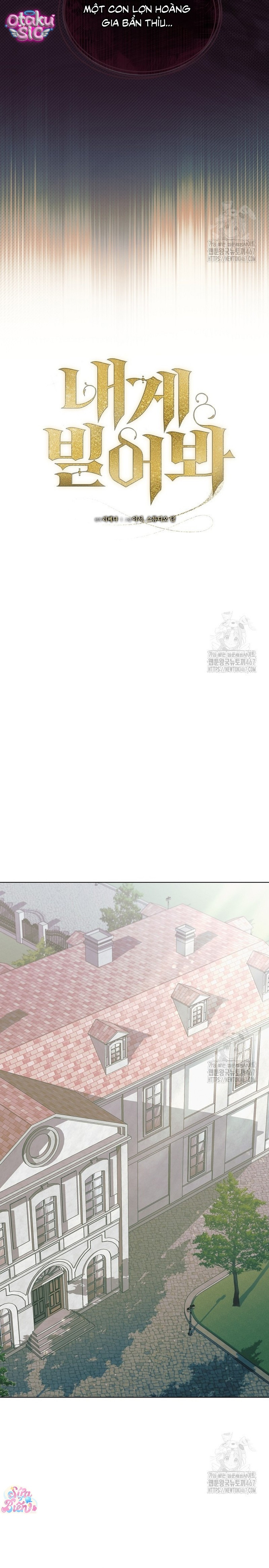 Hãy Cầu Xin Ta Đi - Chap 36