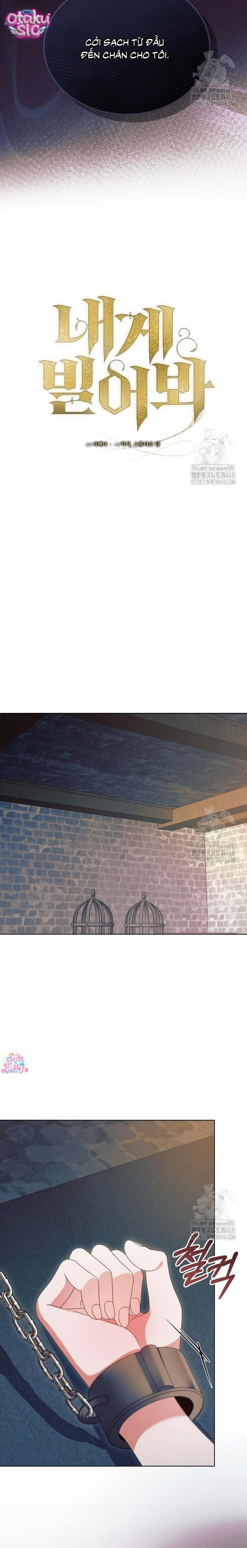Hãy Cầu Xin Ta Đi - Chap 38
