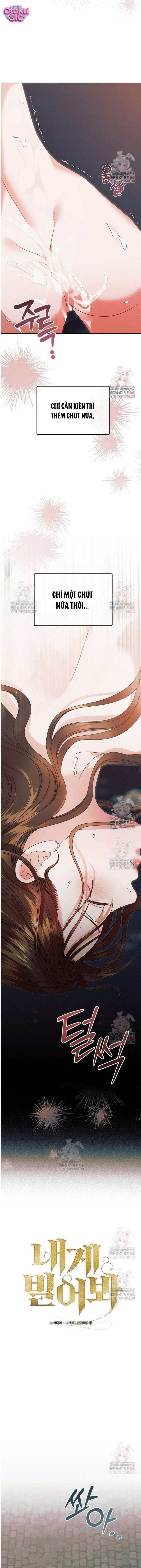 Hãy Cầu Xin Ta Đi - Chap 41