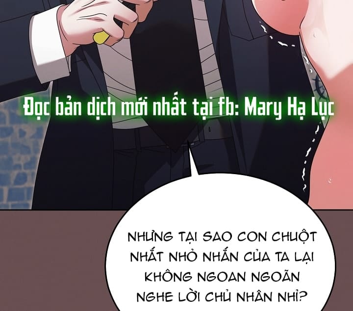 Hãy Cầu Xin Tôi Đi - Chap 43