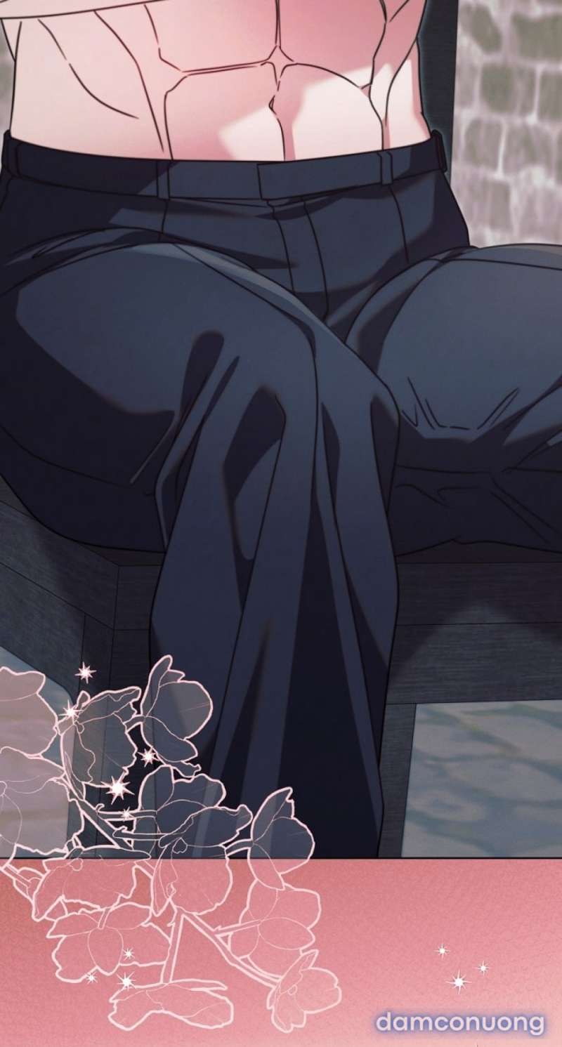 Hãy Cầu Xin Tôi Đi - Chap 68