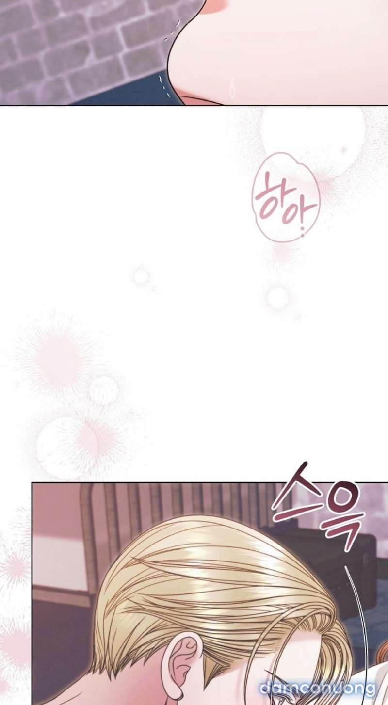 Hãy Cầu Xin Tôi Đi - Chap 68