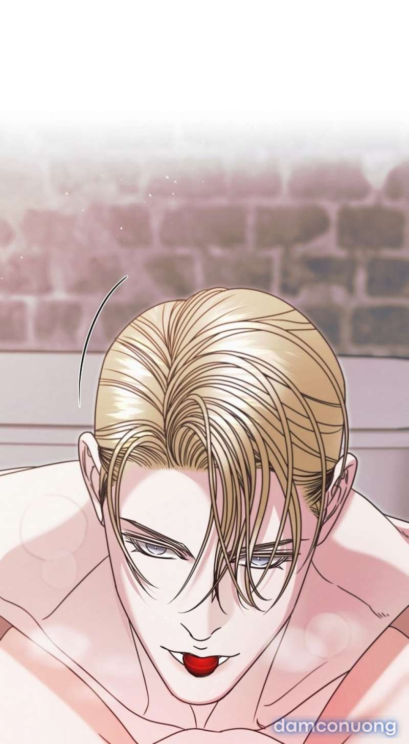 Hãy Cầu Xin Tôi Đi - Chap 68
