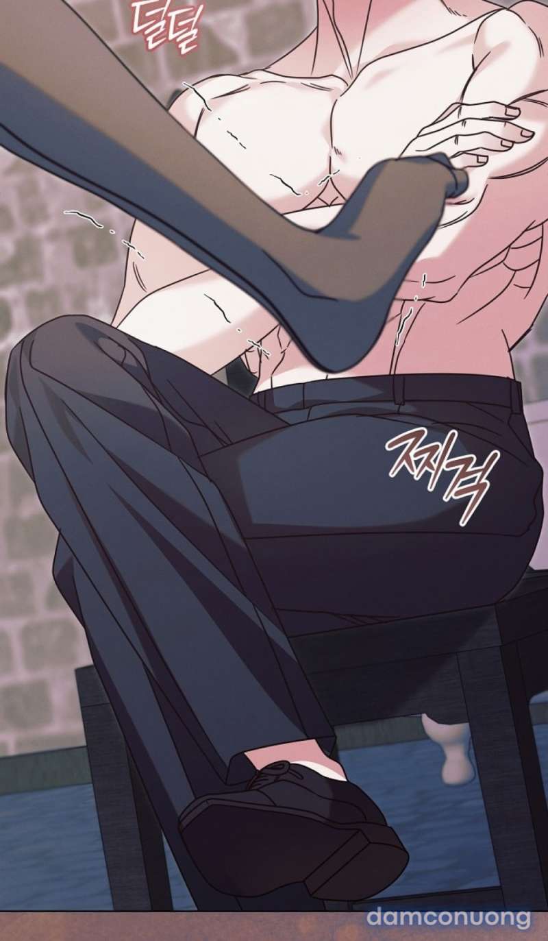 Hãy Cầu Xin Tôi Đi - Chap 69