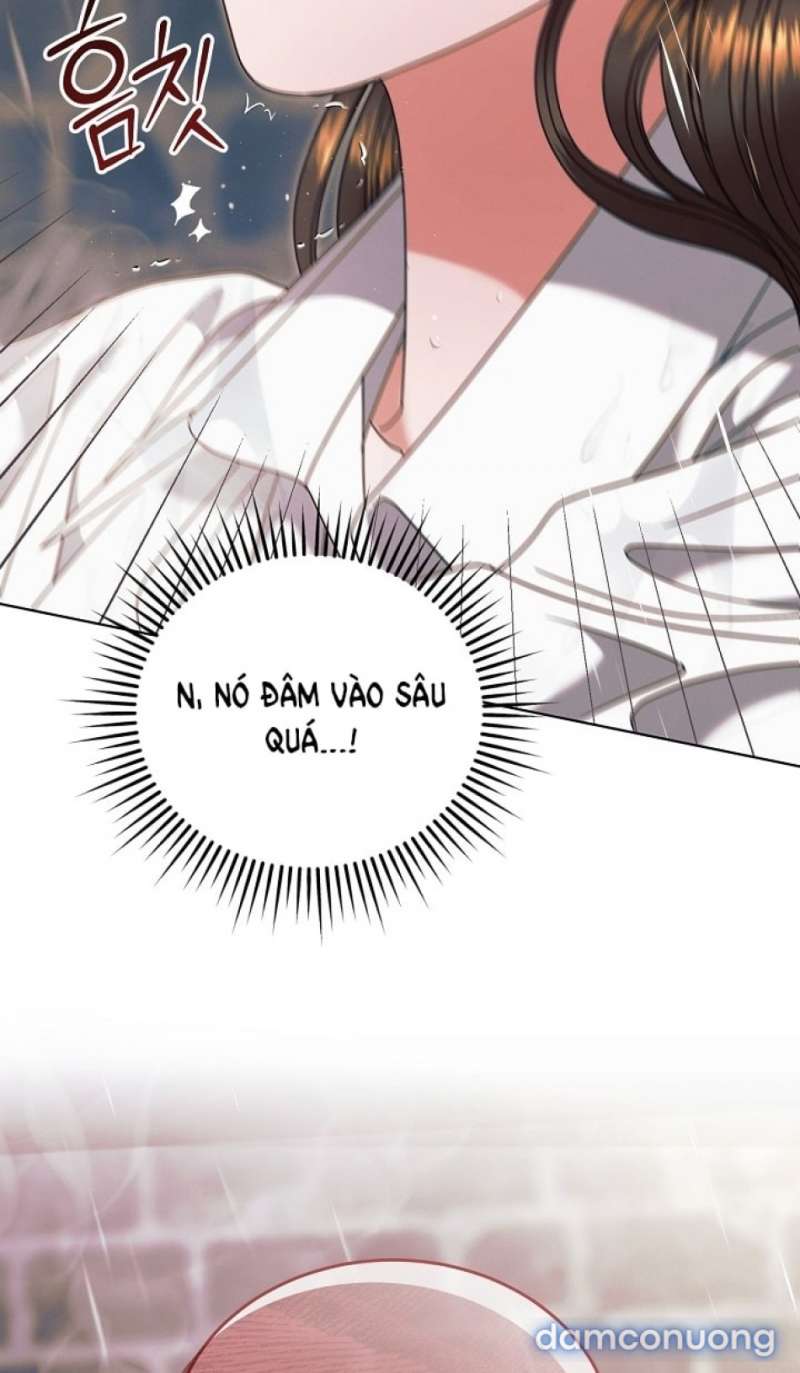 Hãy Cầu Xin Tôi Đi - Chap 70