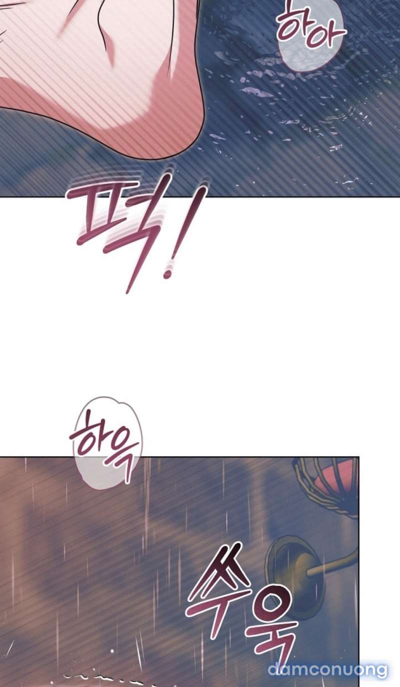 Hãy Cầu Xin Tôi Đi - Chap 70