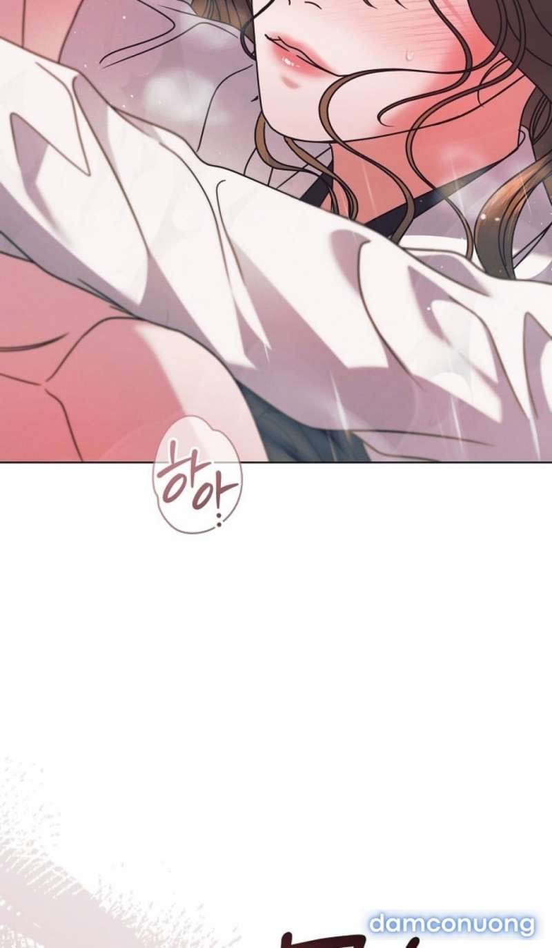 Hãy Cầu Xin Tôi Đi - Chap 70