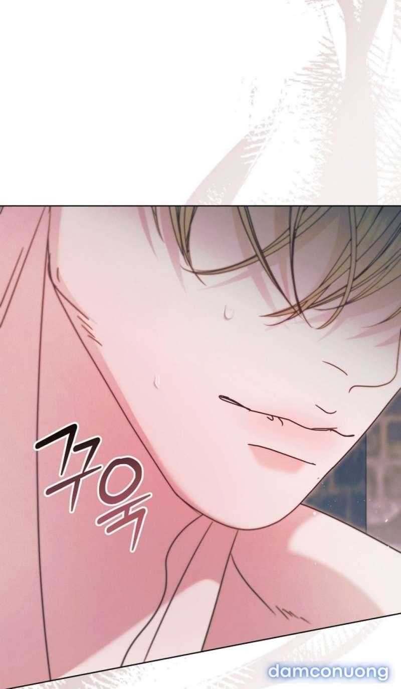 Hãy Cầu Xin Tôi Đi - Chap 70
