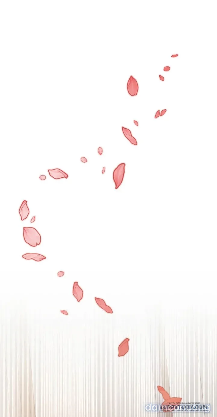 Hãy Cầu Xin Tôi Đi - Chap 74
