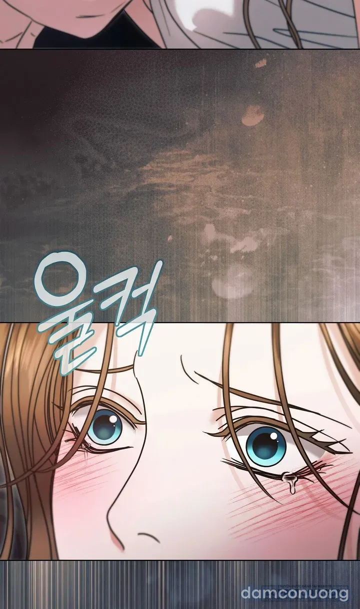 Hãy Cầu Xin Tôi Đi - Chap 74