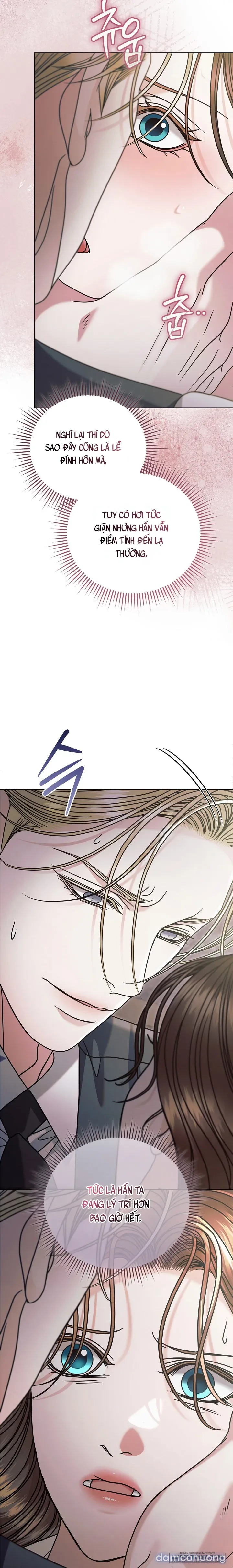 Hãy Cầu Xin Tôi Đi - Chap 82