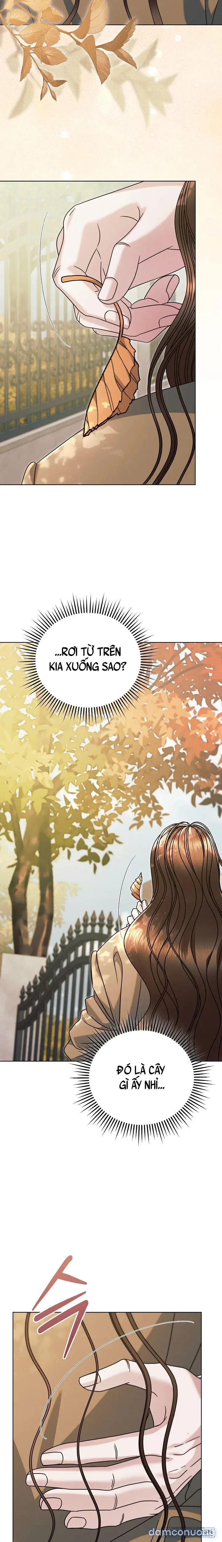 Hãy Cầu Xin Tôi Đi - Chap 85