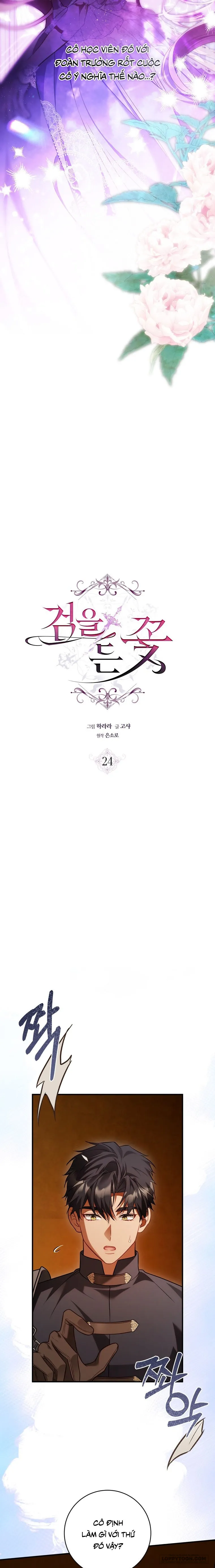 Hoa Bên Lưỡi Kiếm - Chap 24 - Trang 4