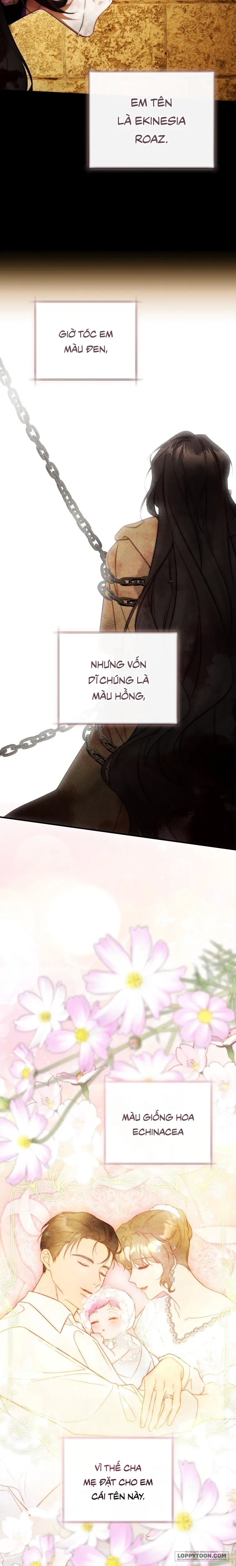 Hoa Bên Lưỡi Kiếm - Chap 34 - Trang 14