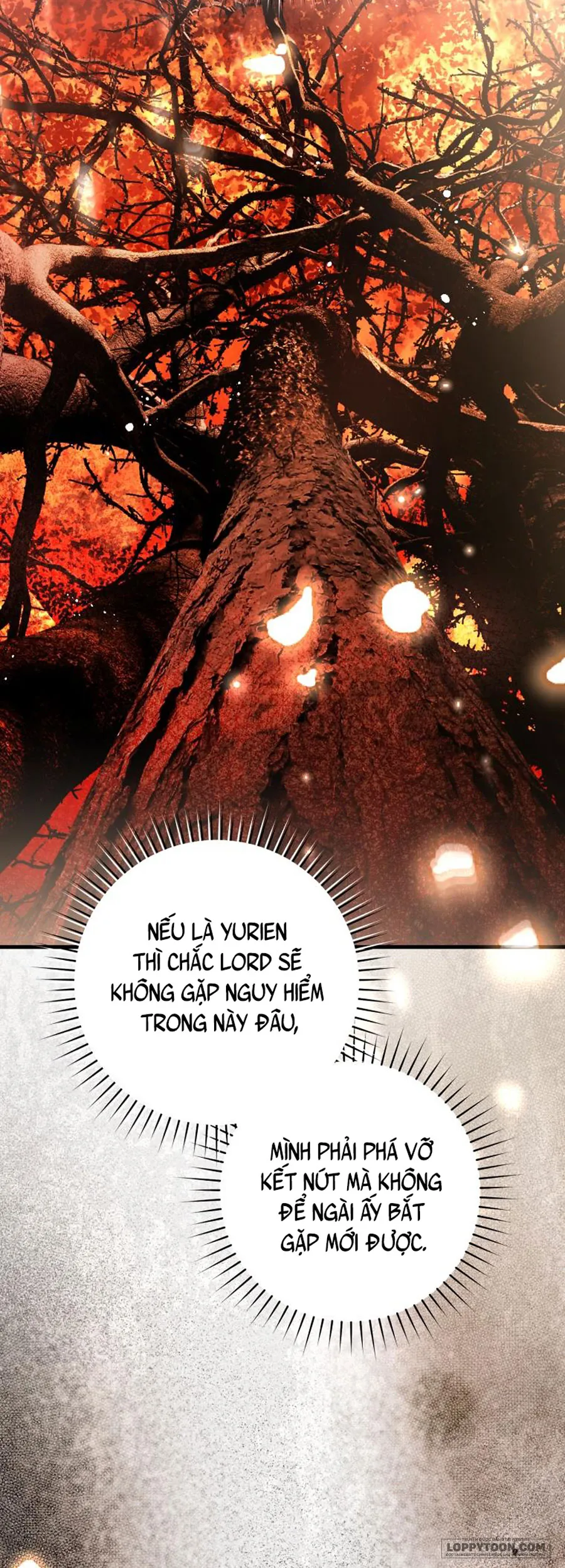 Hoa Bên Lưỡi Kiếm - Chap 46 - SS2 - Trang 77