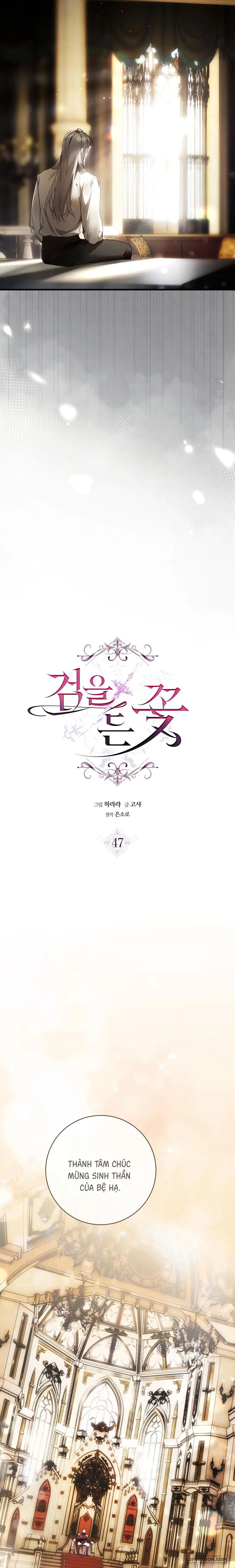 Hoa Bên Lưỡi Kiếm - Chap 47 - Trang 7