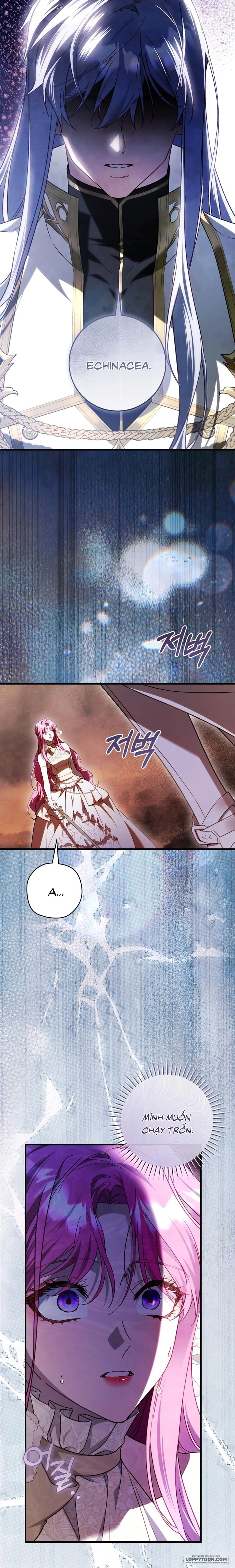 Hoa Bên Lưỡi Kiếm - Chap 49 - Trang 12