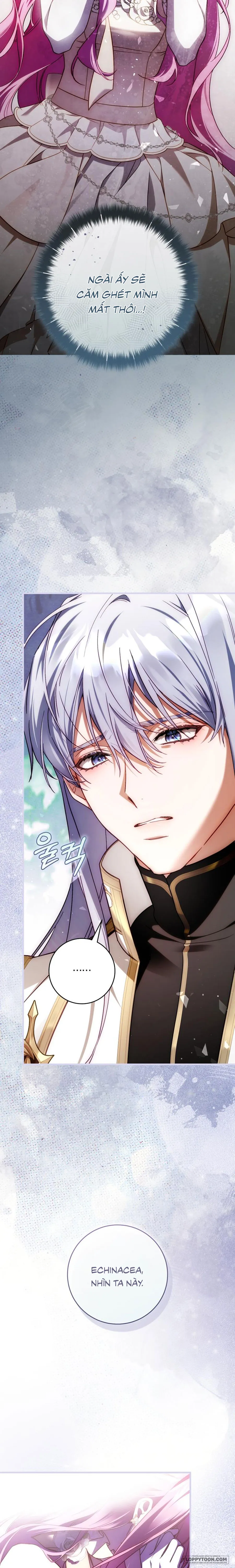 Hoa Bên Lưỡi Kiếm - Chap 49 - Trang 19