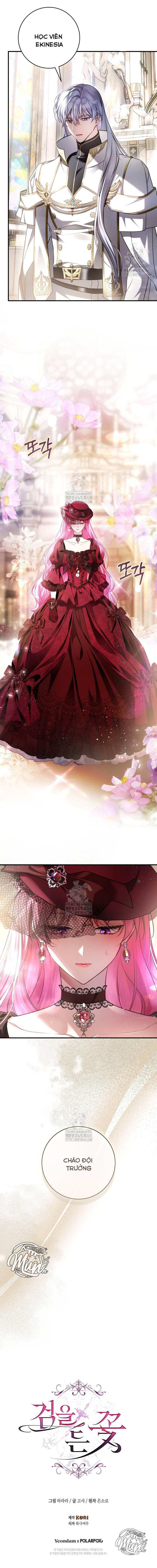 Hoa Bên Lưỡii Kiếm - Chap Hoa Bên Lưỡii Kiếm – Chap 29