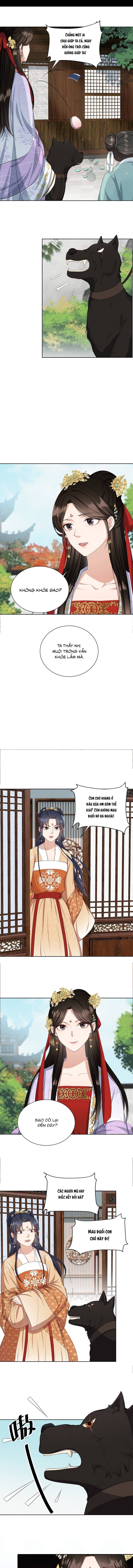 Hoa Đào Chiếu Án Ngọc - Chap Hoa Đào Chiếu Án [...] – Chap 21