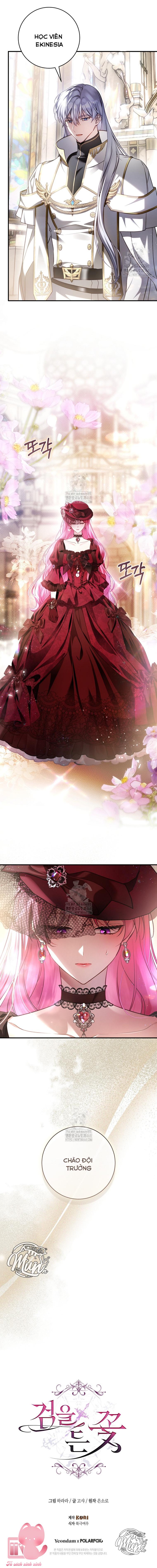 Hoa Giương Kiếm - Chap 29 - Trang 14