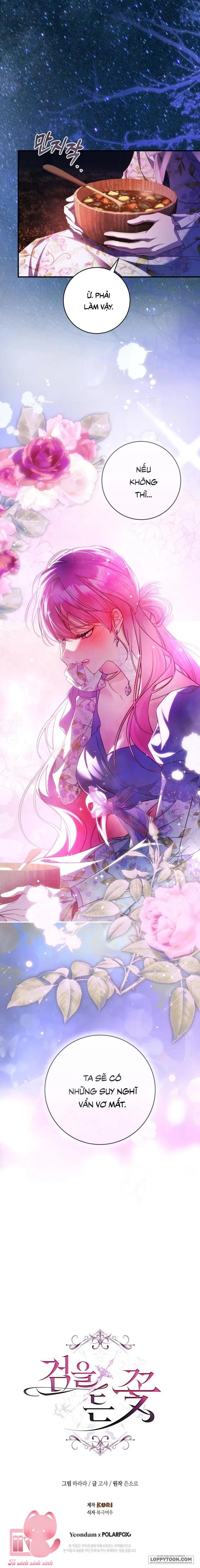 Hoa Giương Kiếm - Chap 42 - Trang 24