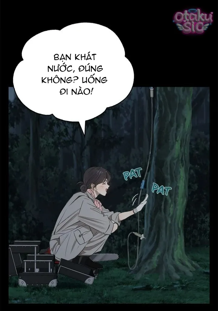 Hoa Là Mồi Nhử - Chap 1 - Trang 11