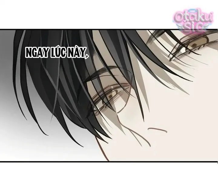 Hoa Là Mồi Nhử - Chap 13 - Trang 39