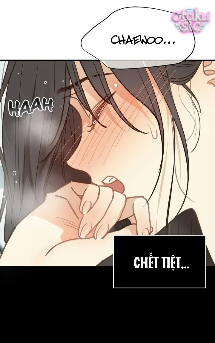 Hoa Là Mồi Nhử - Chap 13 - Trang 45