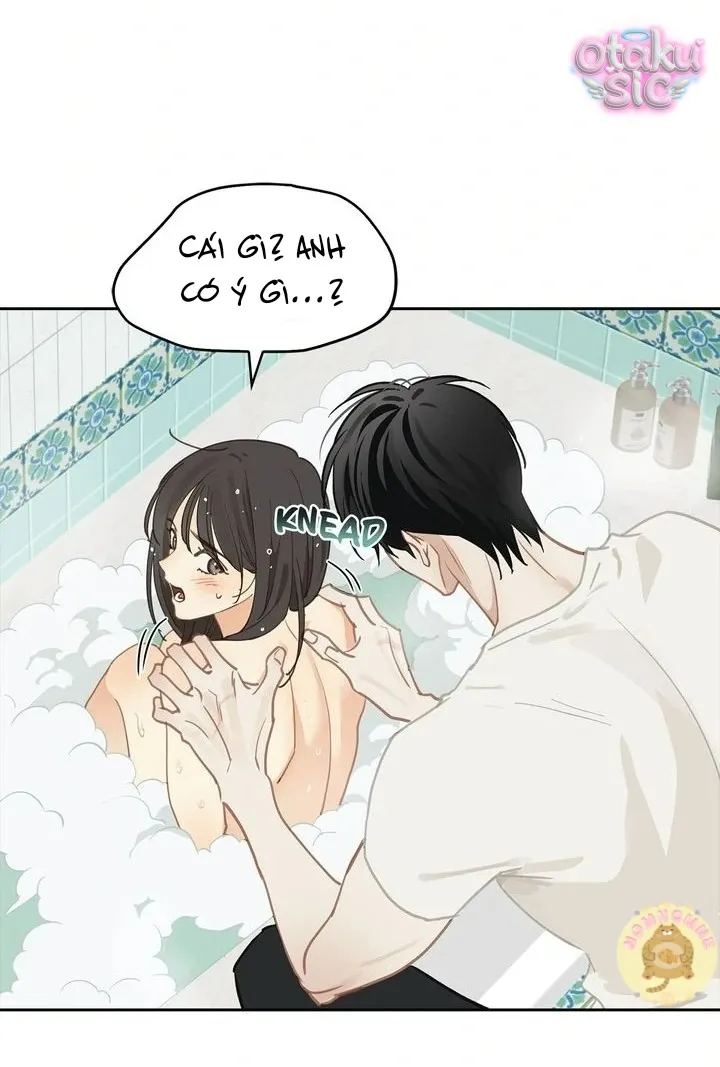 Hoa Là Mồi Nhử - Chap 14 - Trang 1