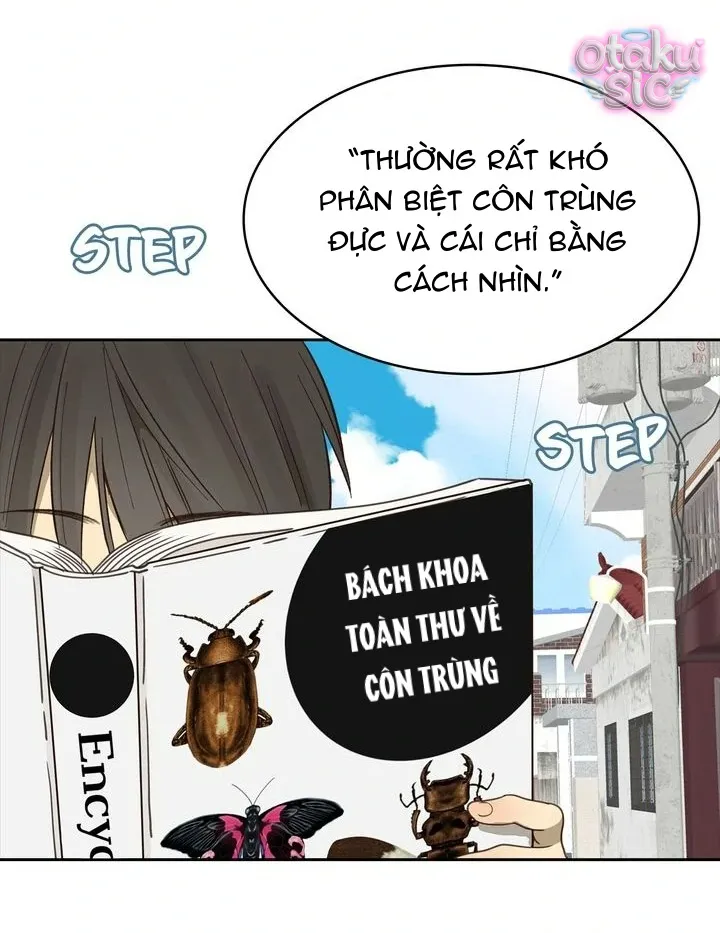 Hoa Là Mồi Nhử - Chap 15 - Trang 15