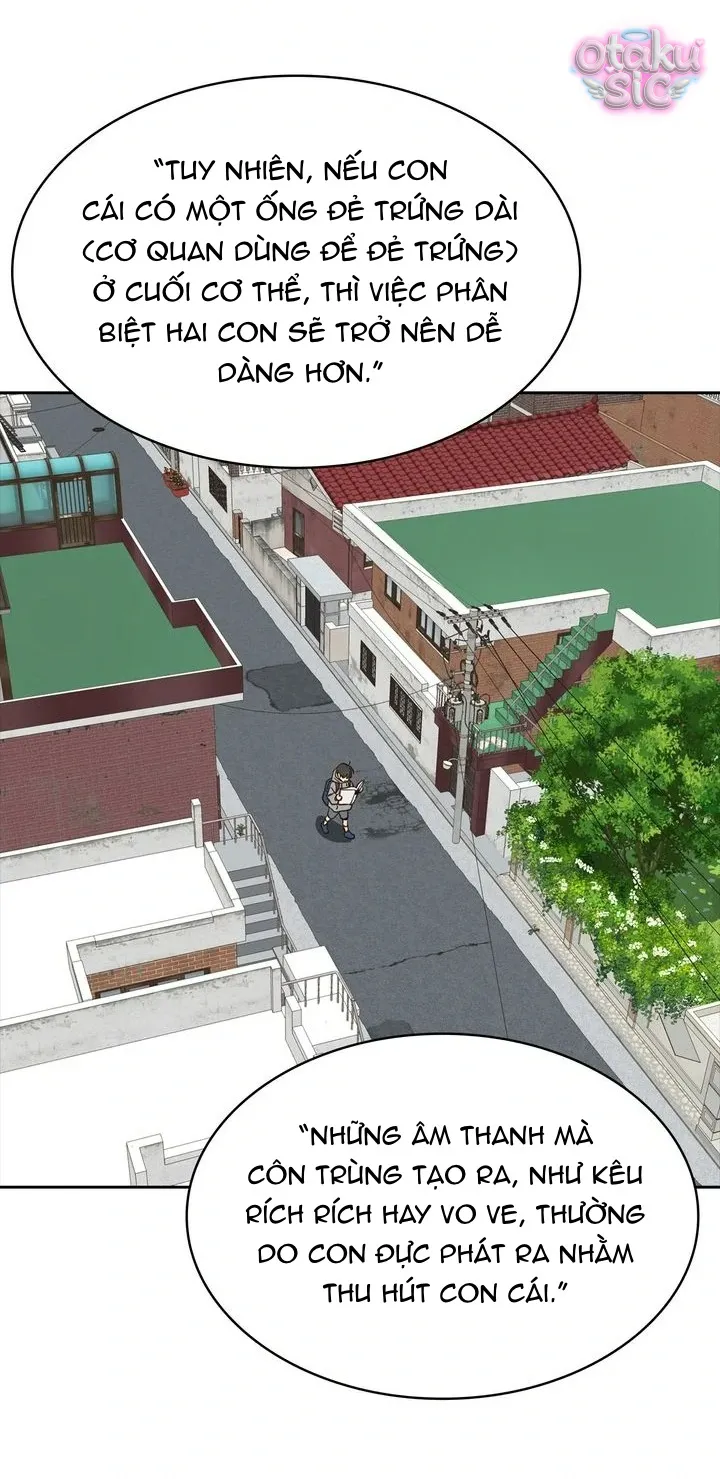 Hoa Là Mồi Nhử - Chap 15 - Trang 16