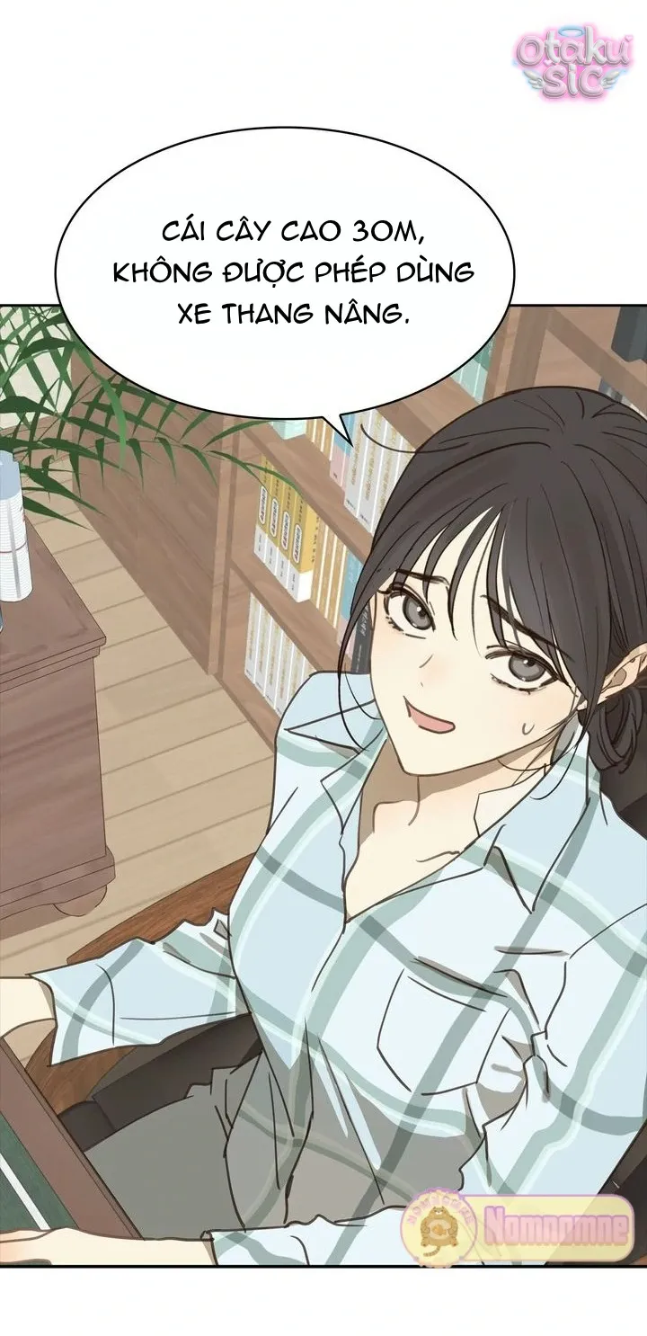 Hoa Là Mồi Nhử - Chap 15 - Trang 21