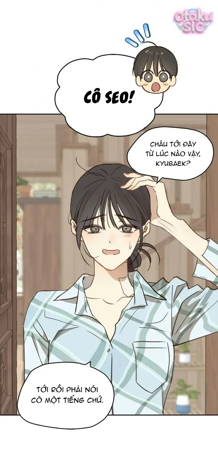 Hoa Là Mồi Nhử - Chap 15 - Trang 37