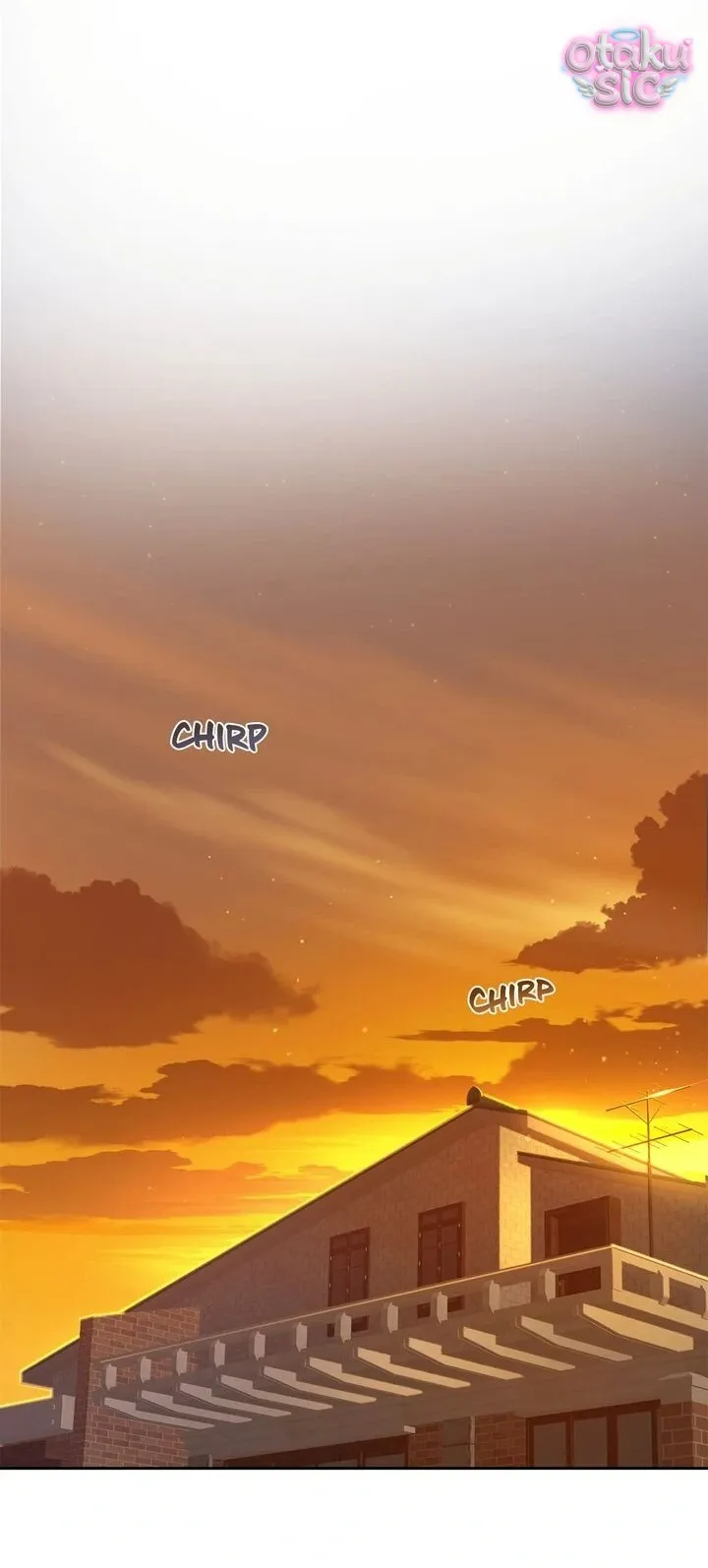 Hoa Là Mồi Nhử - Chap 16 - Trang 16