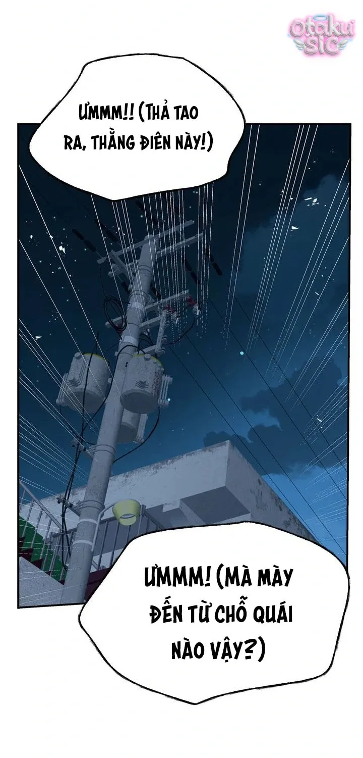 Hoa Là Mồi Nhử - Chap 17 - Trang 37