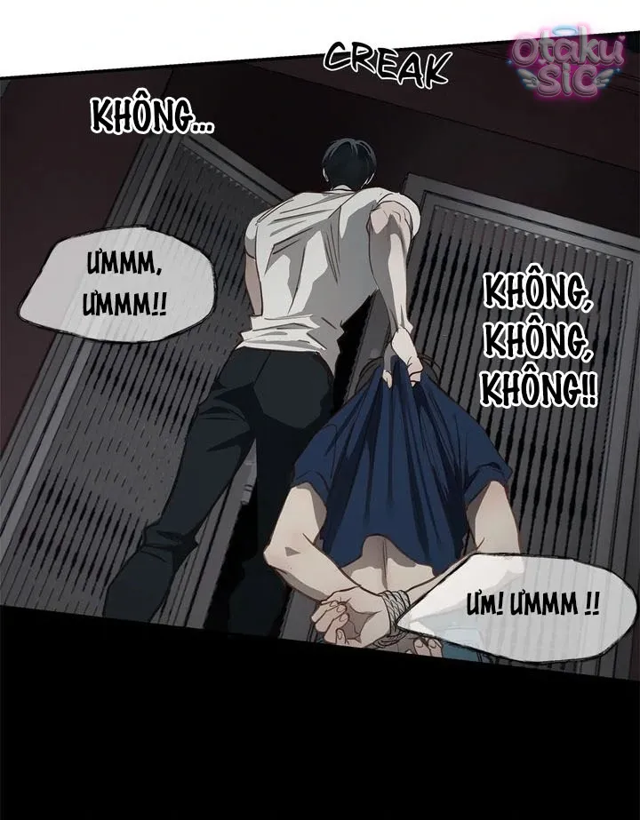 Hoa Là Mồi Nhử - Chap 17 - Trang 48