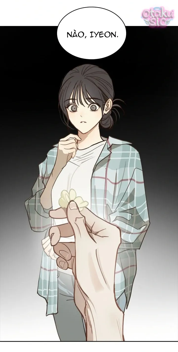 Hoa Là Mồi Nhử - Chap 19 - Trang 1