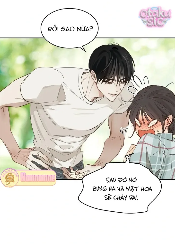 Hoa Là Mồi Nhử - Chap 19 - Trang 13